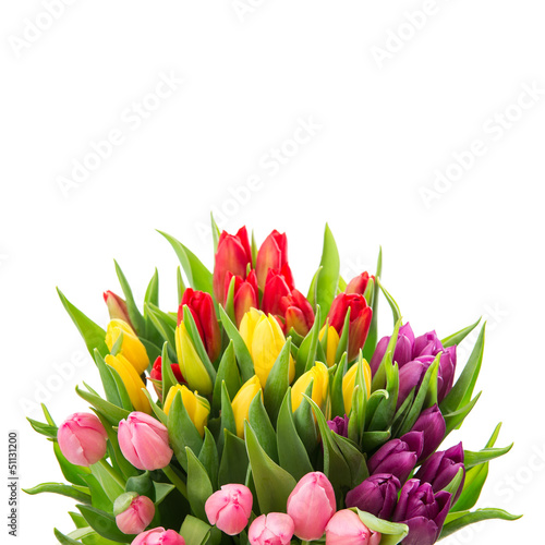 Fototapeta Naklejka Na Ścianę i Meble -  bouquet of fresh multicolor tulips