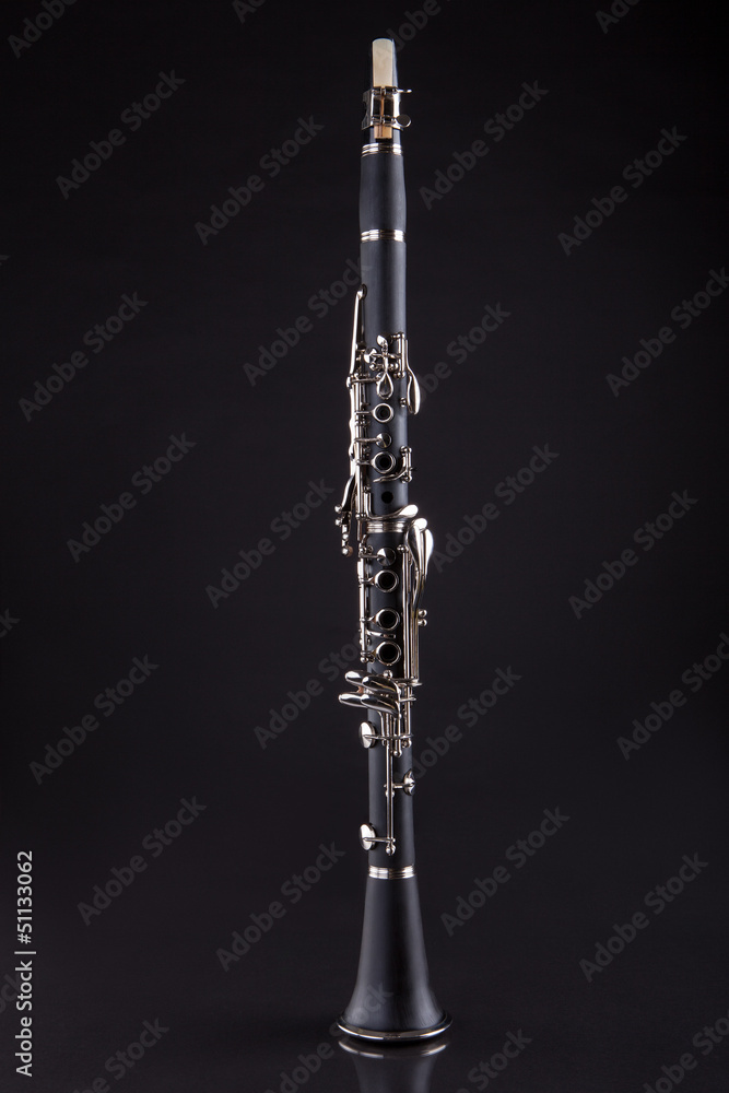 Close-up Of Clarinet Close-up Of Clarinet