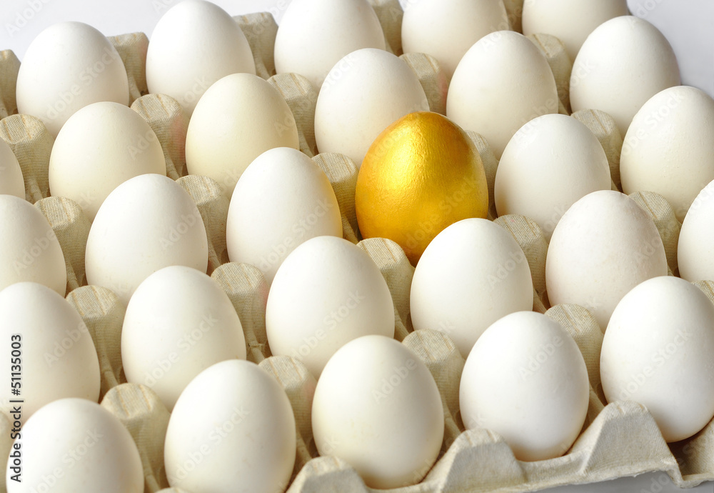 Golden egg among hen eggs in pack Golden egg among hen eggs in pack