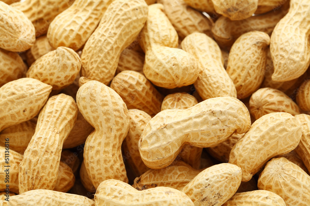 Dried peanut Dried peanut