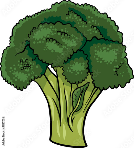 broccoli vegetable cartoon illustration