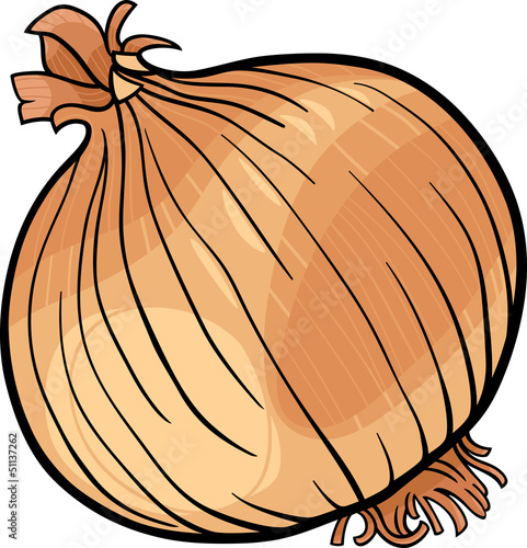 onion vegetable cartoon illustration