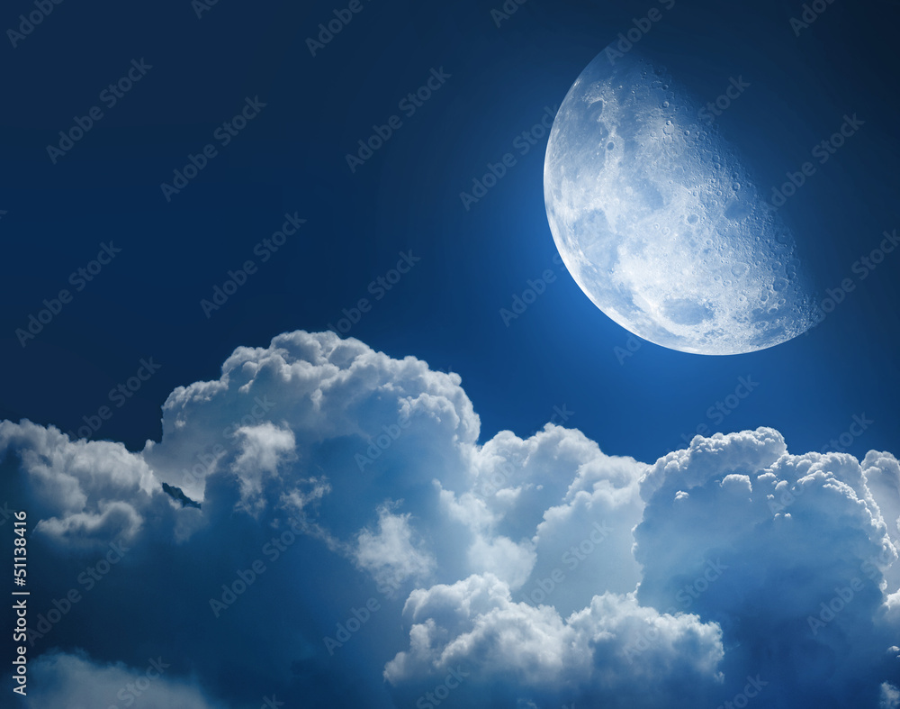 Obraz premium moonlight