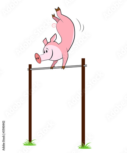 Illustration of isolated pig hangs on a horizontal bar