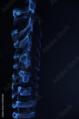 Canvas Print Backbone