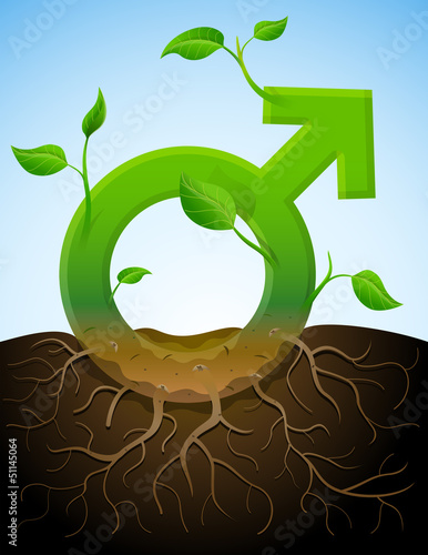 Growing male symbol like plant with leaves and roots in ground