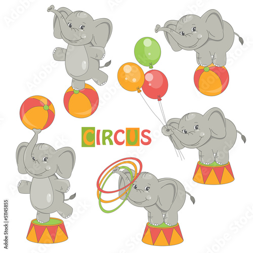 Collection of cute circus elephant on white background.