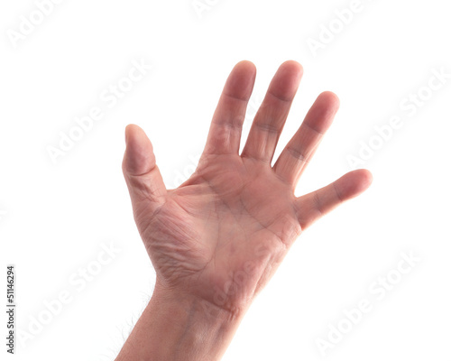 main ouverte humaine sur fond blanc