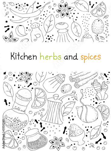 Kitchen herbs and spices doodle background
