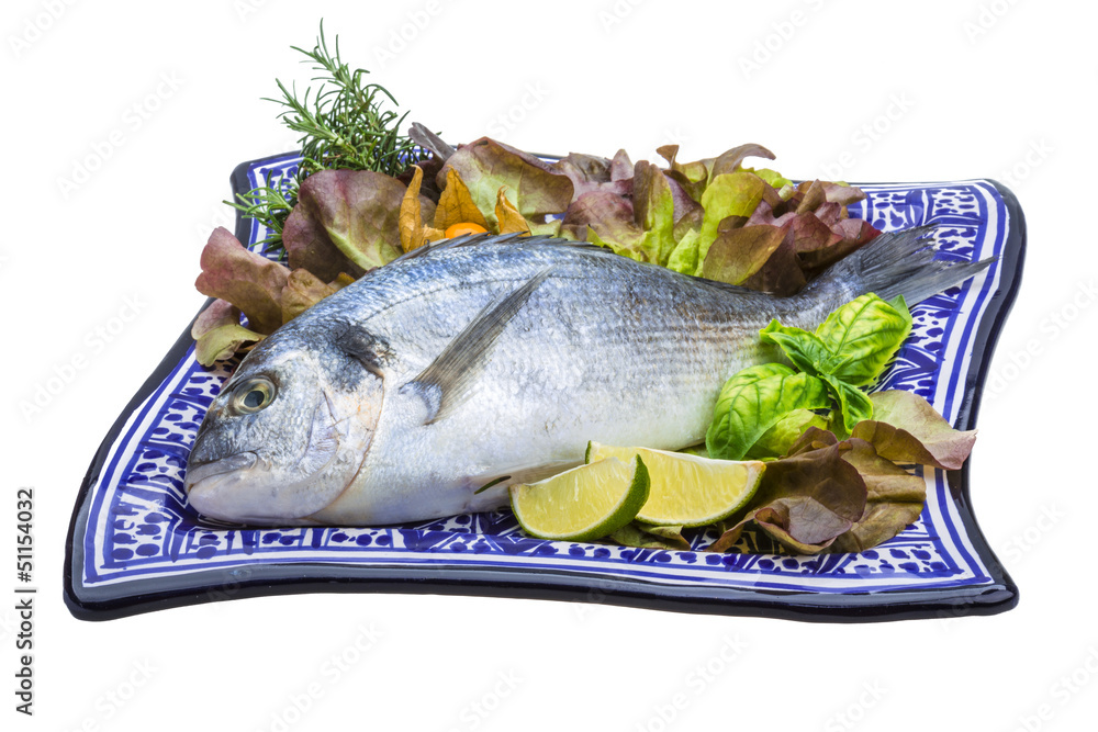 Fresh raw dorada