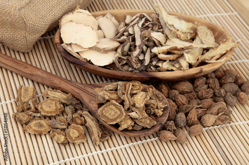 Traditional Chinese Medicine