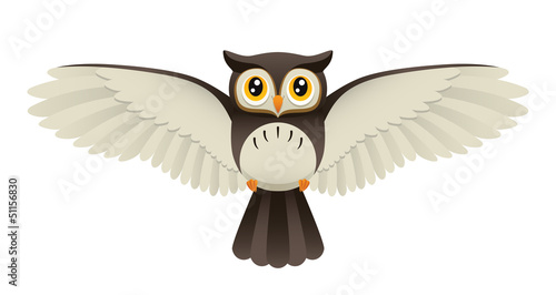 Owl Flying
