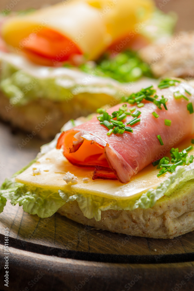 Closeup of spring Fresh sandwich with ham and cheese Closeup of spring Fresh sandwich with ham and cheese