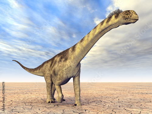 Fototapeta Naklejka Na Ścianę i Meble -  Dinosaurier Camarasaurus