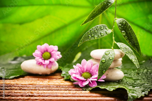 Canvas Print Spa treatment.
