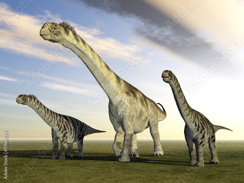 Dinosaurier Camarasaurus © Michael Rosskothen