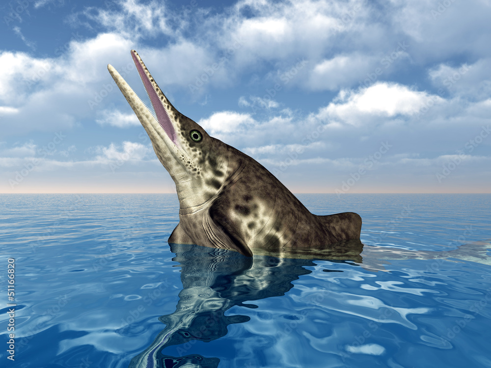 Ichthyosaurier Stenopterygius StockIllustration Adobe Stock