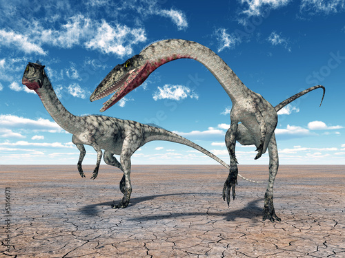 Dinosaurier Coelophysis © Michael Rosskothen