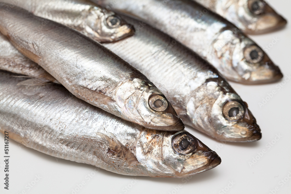 sprat fish sprat fish