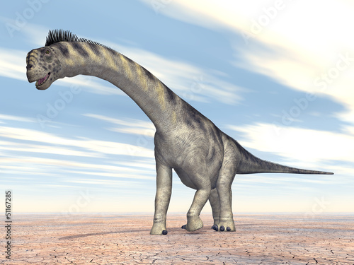 Dinosaurier Camarasaurus © Michael Rosskothen