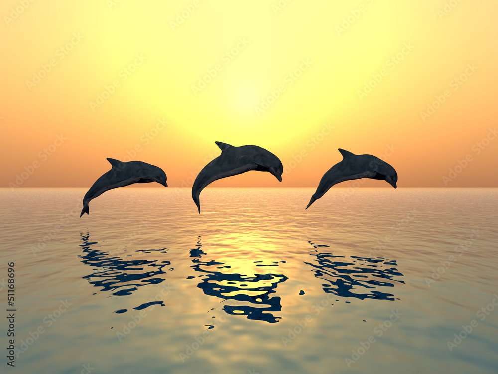 Obraz premium Jumping Dolphins