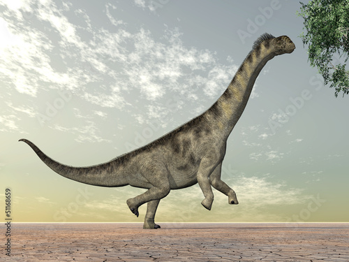 Dinosaur Camarasaurus © Michael Rosskothen
