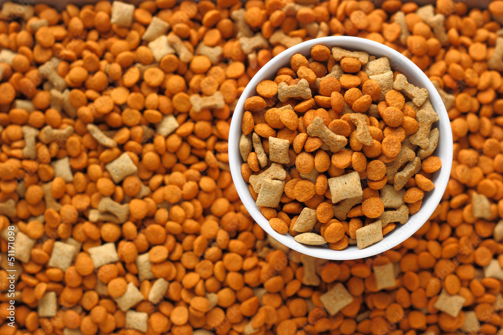 pet food in the dog dish with background of pet food out focus. pet food in the dog dish with background of pet food out focus.