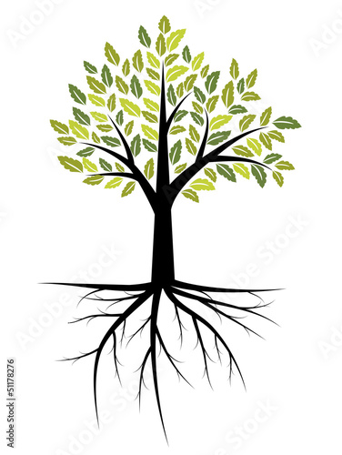 Tree with roots
