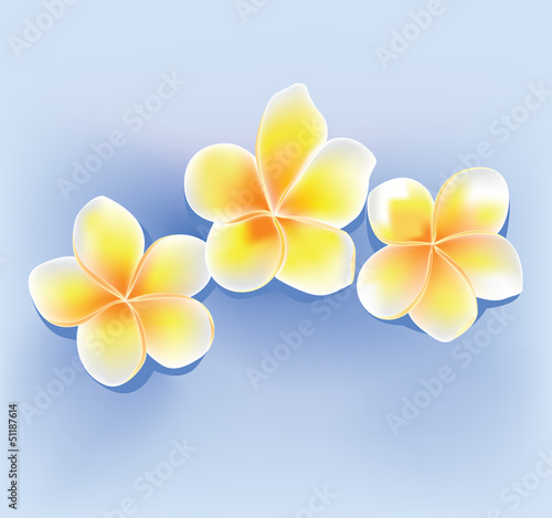 Jepun Flower
