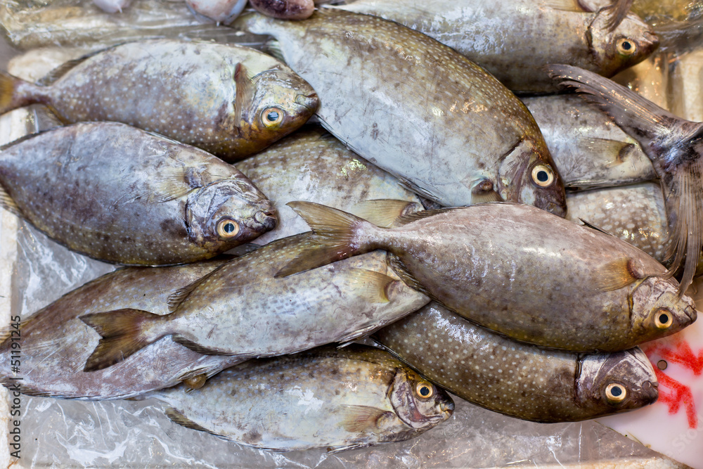 Fresh Fish at Local Asian Market Fresh Fish at Local Asian Market