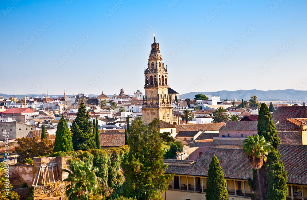 Panoramic view from Alcazar on Cordoba's roofs, Andalusia, Spain