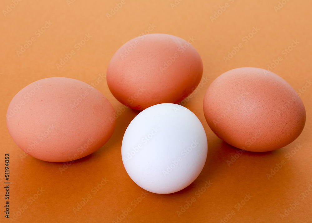 Eier Eier