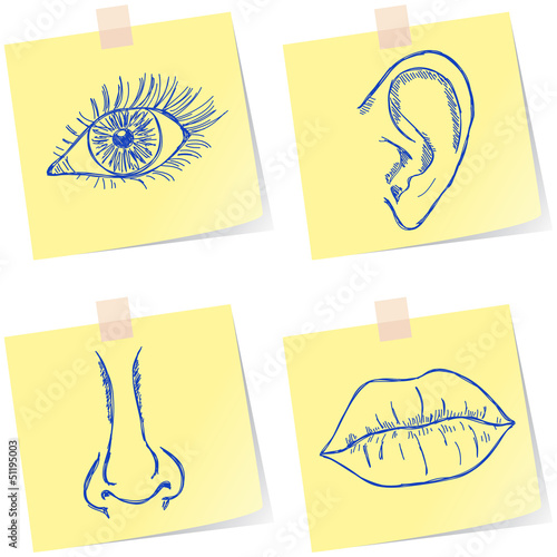 Senses sketches