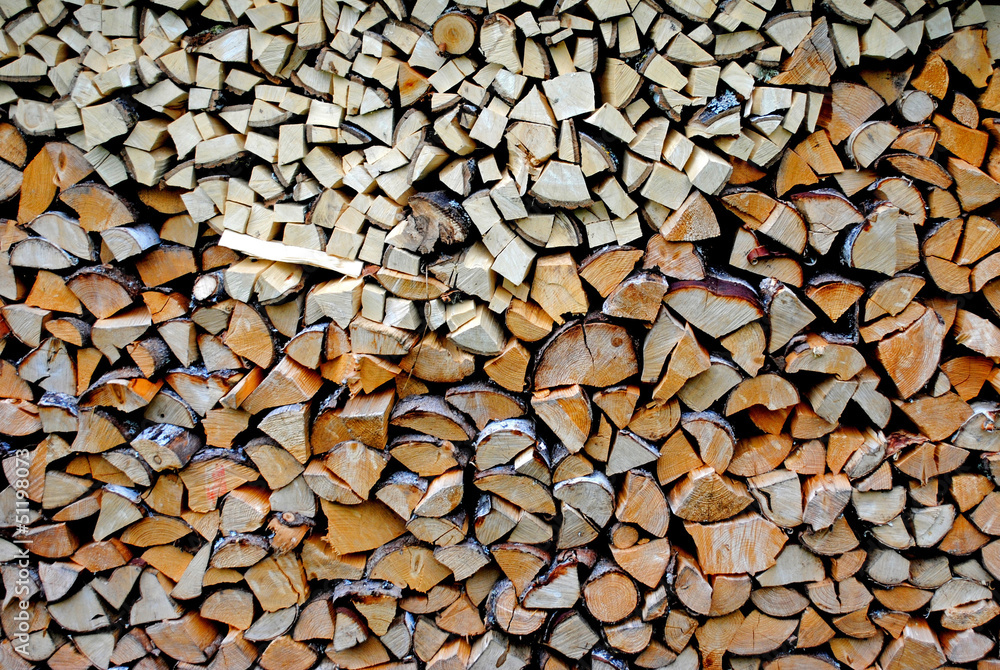holz holz