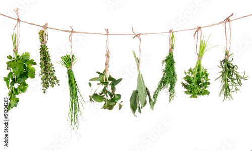 Fresh herbs hanging isolated on white background