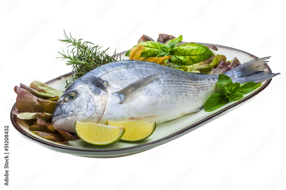 Fresh raw dorada Fresh raw dorada