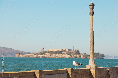 Seagull sitting on wall with Alcatraz in the background. San Fra