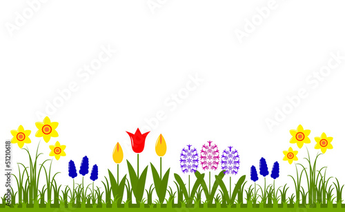 spring flowers