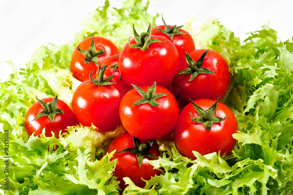 fresh lettuces salad with fresh tomatoes fresh lettuces salad with fresh tomatoes