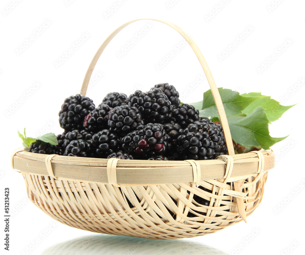 beautiful blackberries with leaves in basket isolated on white beautiful blackberries with leaves in basket isolated on white