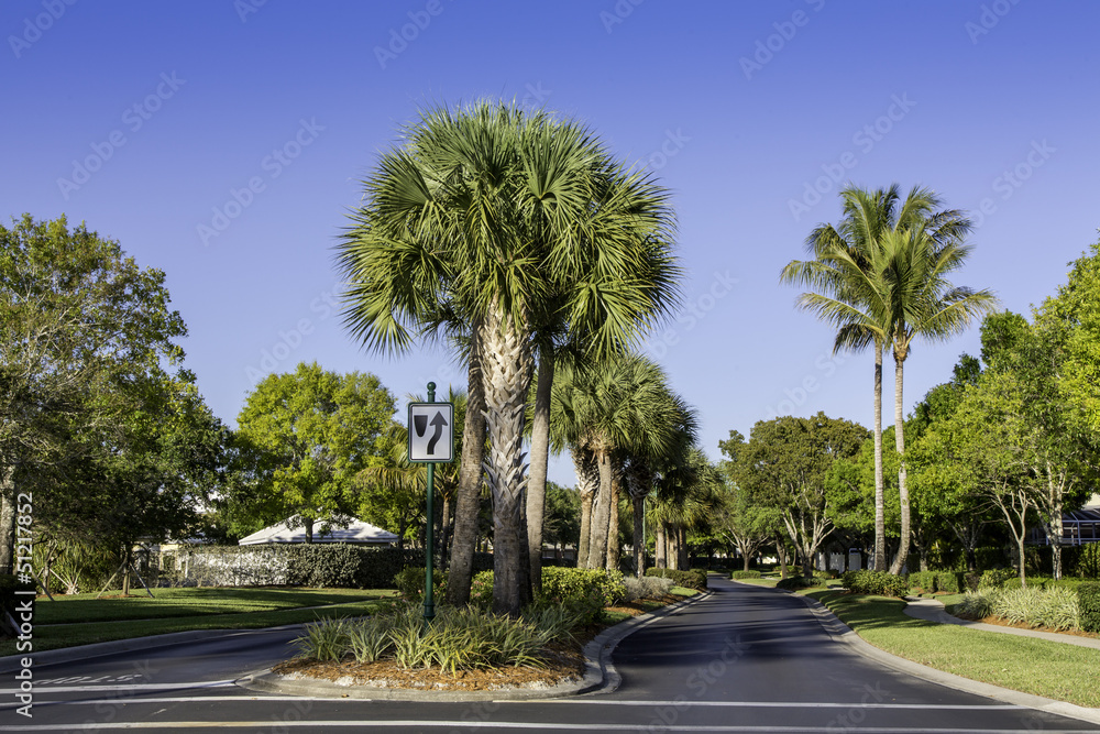 Fototapeta premium Road to community in Naples, Florida