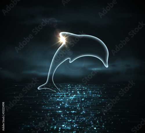 Silhouette of dolphin