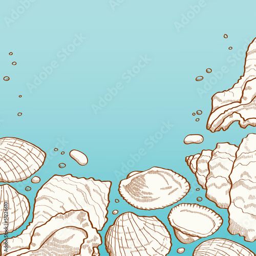 Seashell background
