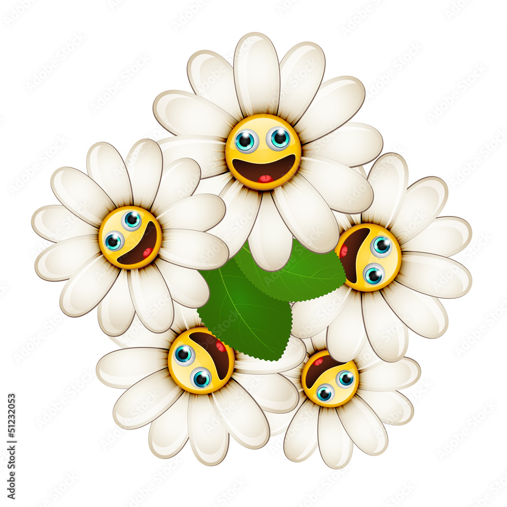 Bouquet of flowers with smiling daisies