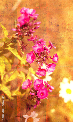 textured abstract  background