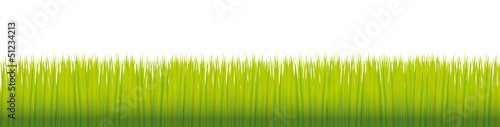 HERBES