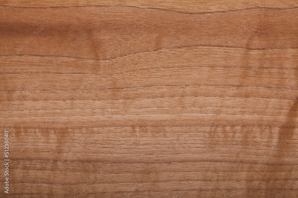 wood texture wood texture