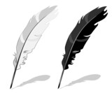Feather pen, black and white composition with shadow