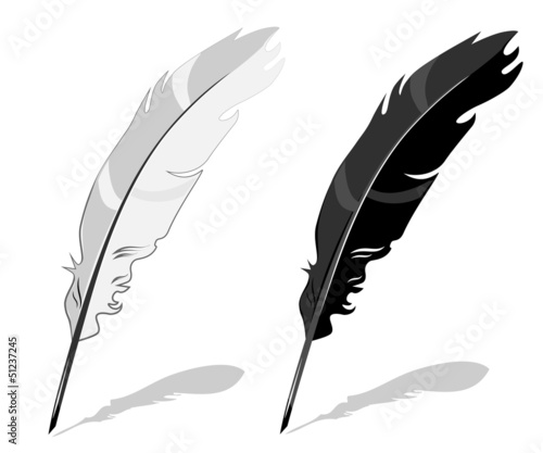 Feather pen, black and white composition with shadow