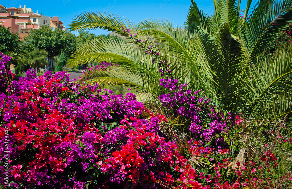 flowers and palm trees